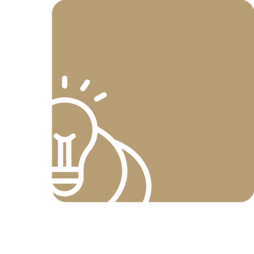 Consultation & concept